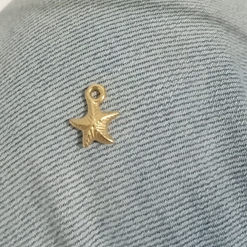 Miniature star fish Atomized and uplifted pendant